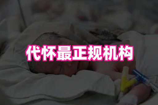 gfg孕网 1